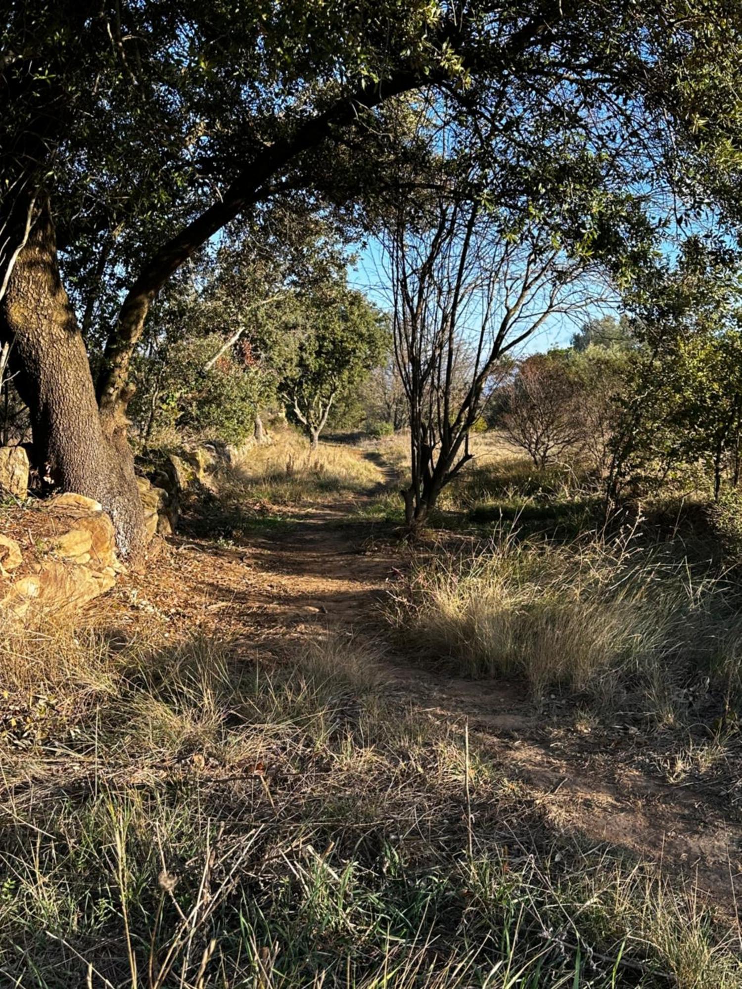 Oasis Des Corbieres Bed and Breakfast Boutenac Esterno foto